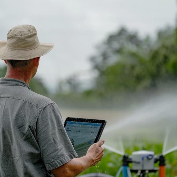 porque el programador de riego no corta el agua