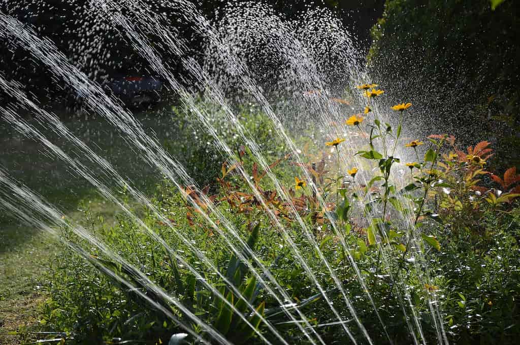 ultrafiltración agua jardín